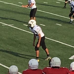 Meet your Posher, Hector